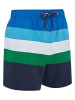 Reebok Zwemshort "Spiro" blauw/groen/zwart