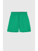 Champion Badeshorts in Grün