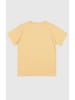 Champion Shirt in Orange