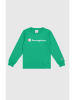 Champion Longsleeve in Grün