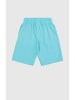 Champion Sweatshorts in Türkis