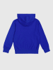 Champion Hoodie in Blau