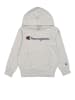 Champion Hoodie in Grau