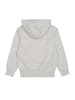 Champion Hoodie in Grau