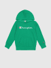 Champion Hoodie in Grün