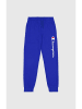 Champion Sweathose in Blau