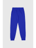 Champion Sweathose in Blau