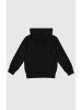 Champion Hoodie in Schwarz