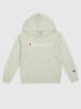 Champion Bluza w kolorze jasnozielonym