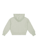 Champion Hoodie in Hellgrün