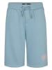 Petrol Industries Shorts in Hellblau