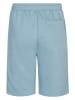 Petrol Industries Shorts in Hellblau