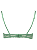 LASCANA Push-up beha "Daisy" groen