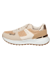 Sixth Sens Sneakers in Beige/ Gold
