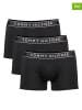 Tommy Hilfiger 3-delige set: boxershorts zwart