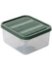 Violeta Home 12er-Set: Frischhaltedosen in Grün - 350 ml