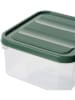 Violeta Home 12er-Set: Frischhaltedosen in Grün - 350 ml