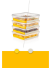 Violeta Home 4er-Set: Kühlschrank-Organizer in Gelb - (B)22 x (H)5,5 x (T)22 cm