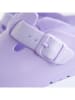 Avispas Clogs "Desalia" in Lila