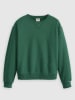 Levi´s Sweatshirt in Grün
