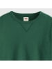 Levi´s Sweatshirt in Grün