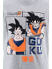 Dragon Ball Z Pyjama "Dragon Ball Z" donkerblauw/grijs/meerkleurig