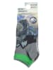 Jurassic World 3-delige set: sokken "Jurassic World" grijs/groen