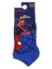 Spiderman Skarpety (3 pary) "Spider-Man" w kolorze niebiesko-czerwonym