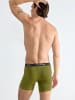 Sloggi 2er-Set: Boxershorts "Start" in Khaki/ Grau