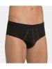 Sloggi 2er-Set: Slips in Schwarz