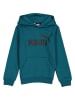 Puma Hoodie "ESS" in Petrol