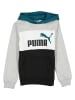 Puma Hoodie "ESS" in Grau/ Schwarz/ Weiß
