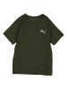 Puma Koszulka "Evostripe" w kolorze khaki
