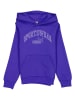 Puma Hoodie "ESS+" blauw