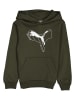 Puma Bluza "ESS+" w kolorze khaki