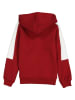 Puma Sweatjacke "ESS+" in Rot