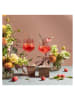 RITZENHOFF Cocktailgalas "Sommerrausch 15" - 544 ml