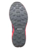 Mizuno Buty "Wave Daichi" w kolorze szarym do biegania