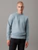 Calvin Klein Sweatshirt in Hellblau