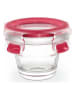 Emsa Vorratsdose "Clip & Close" in Rot - 100 ml