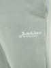 Jack & Jones Sweatshorts "Gordon" in Mint