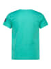 Salt and Pepper Shirt in Mint