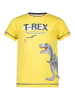 Salt and Pepper Shirt geel