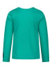 Salt and Pepper Longsleeve in Grün
