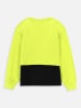 Coccodrillo Sweatshirt in Gelb/ Schwarz