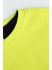 Coccodrillo Sweatshirt in Gelb/ Schwarz