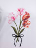BGN Shirt in Weiß
