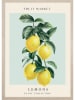 Ars Longa Ingelijste kunstdruk "Levitating lemons" - (L)70 x (B)50 cm