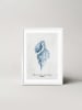 Ars Longa Ingelijste kunstdruk "Tropical shell collection no. 1" - (L)70 x (B)50 cm
