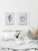 Ars Longa Ingelijste kunstdruk "Tropical shell collection no. 1" - (L)70 x (B)50 cm